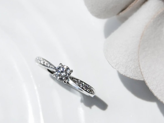 彼女に内緒で「萌木」