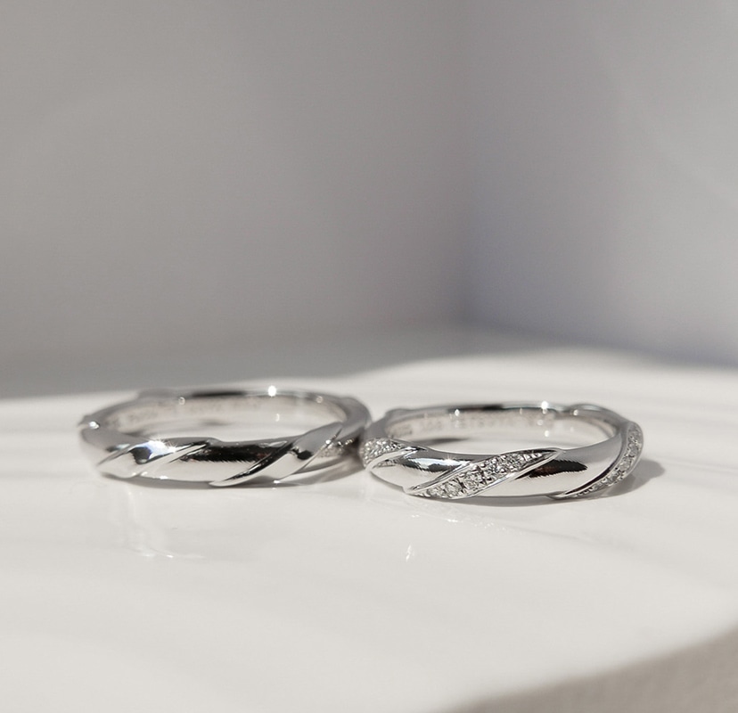 Dandelion「タンポポ」