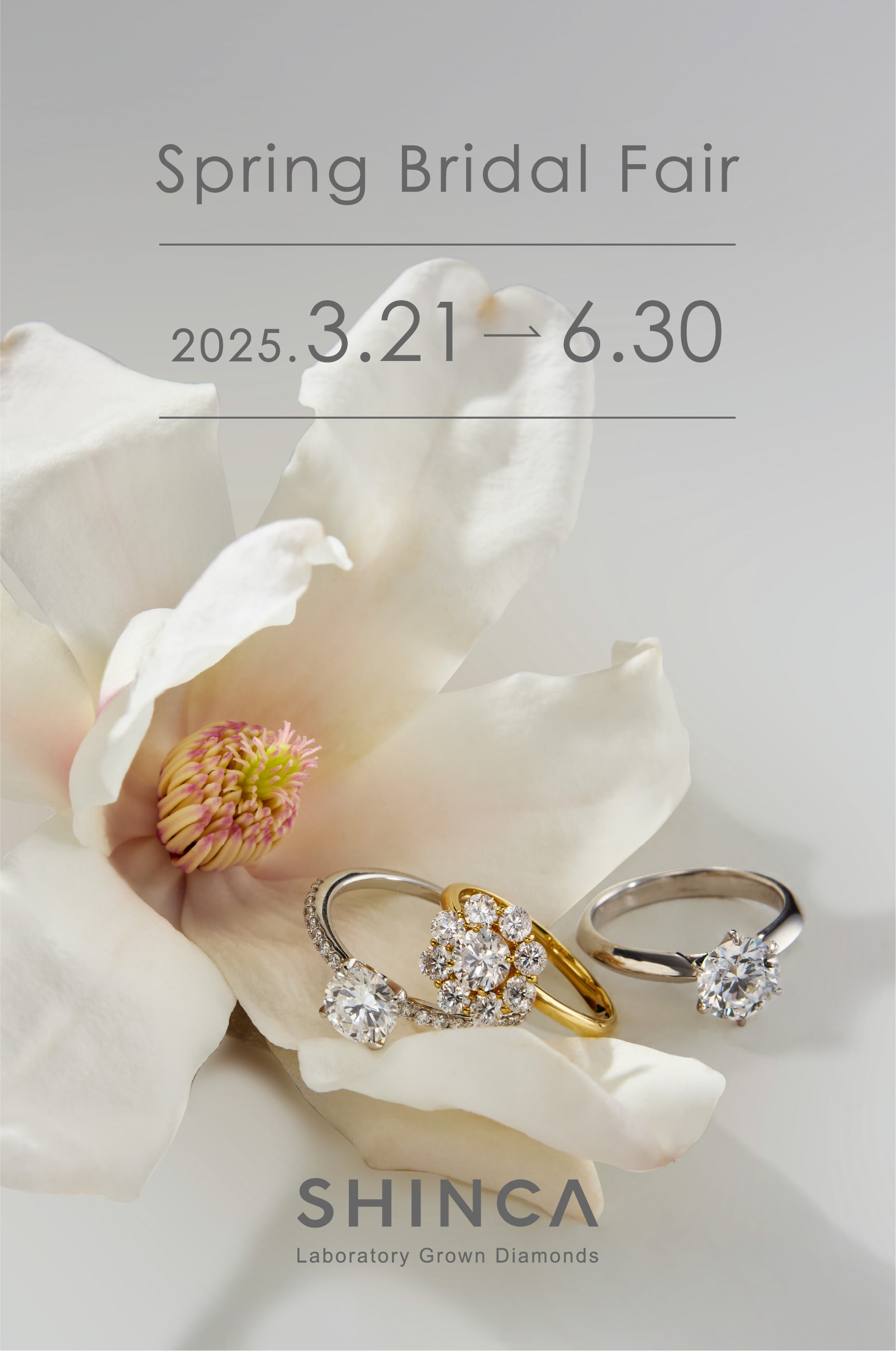 Spring Bridal Fair 2025 | SHINCA（シンカ） ラボグロウン 
