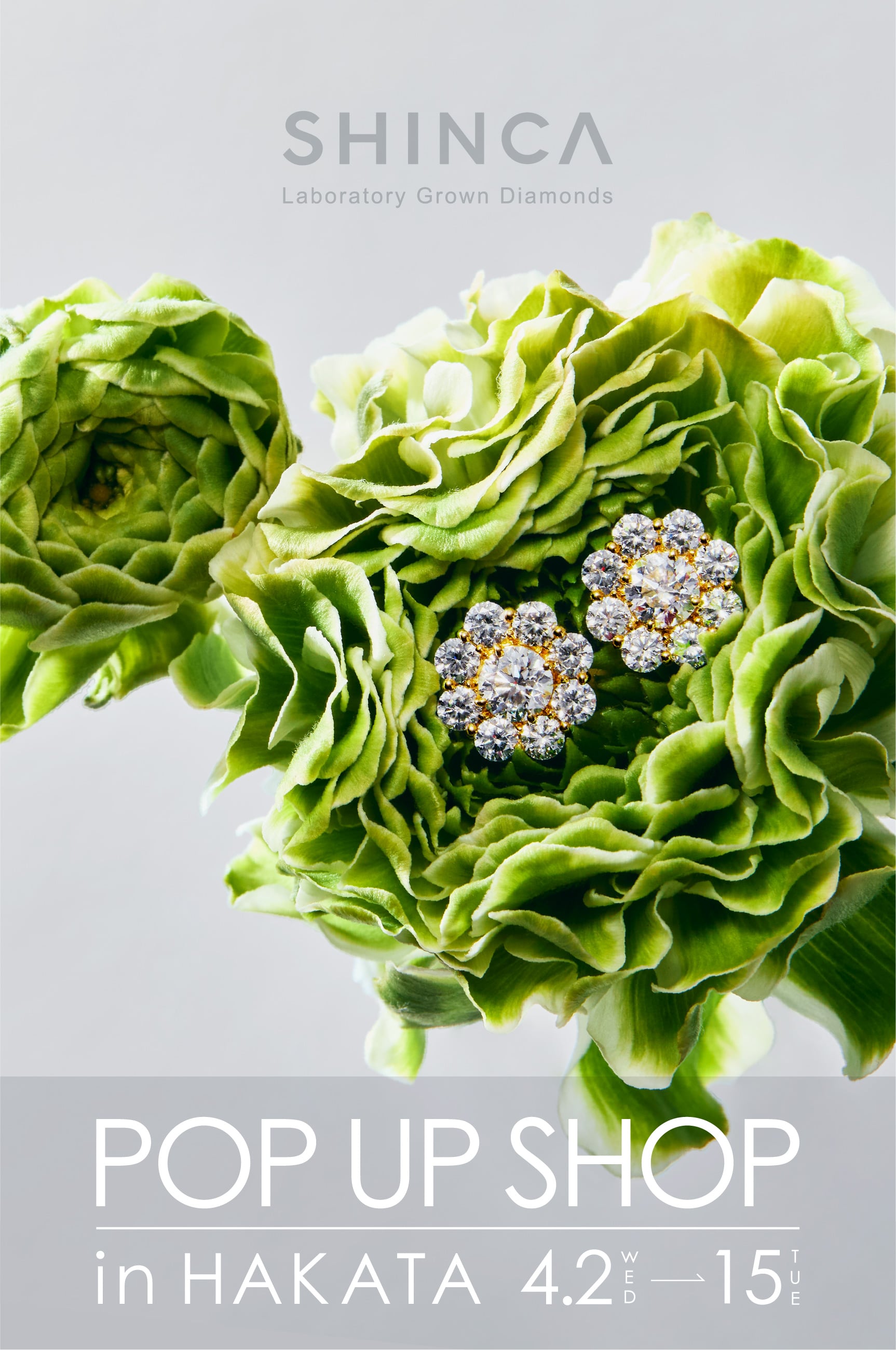 ゆさま専用　ダイヤモンド座席特典　ブランケット　おまけ付き　新品未開封 日本初のラボグロウンダイヤモンドジュエリーブランド「SHINCA